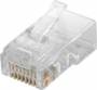 RJ45 Stecker, CAT 5e UTP ungeschirmt